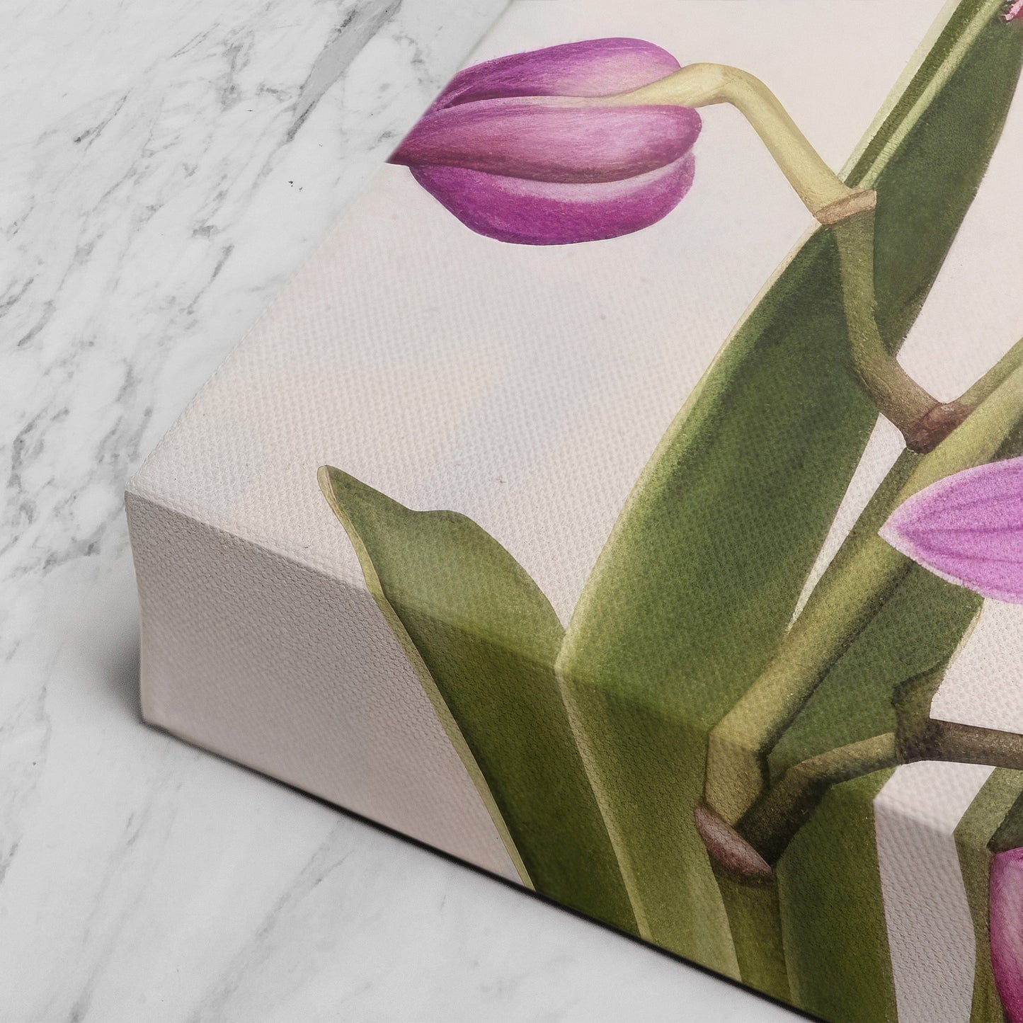Orchid Watercolor – Pink Floral Botanical Art