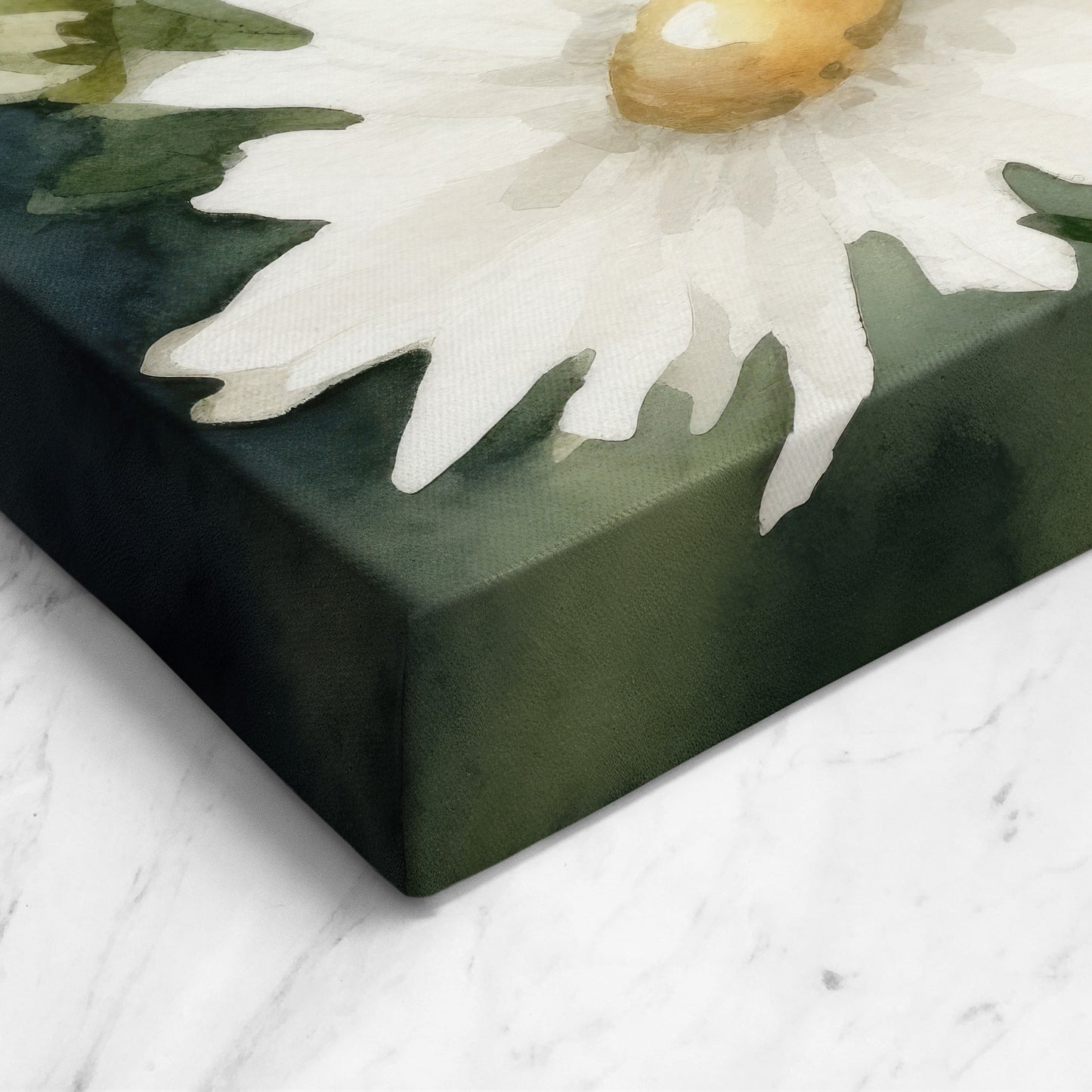 Daisy Watercolor - White Floral Botanical Art