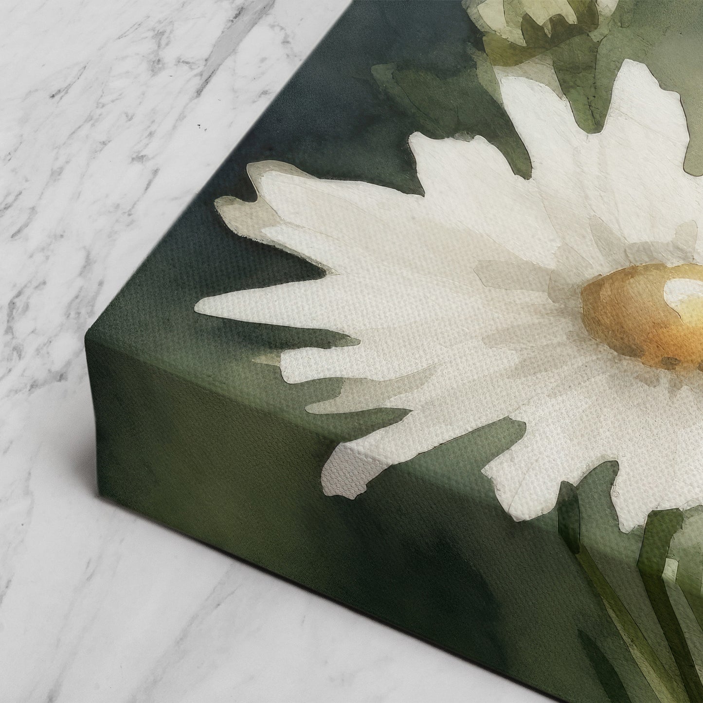 Daisy Watercolor - White Floral Botanical Art